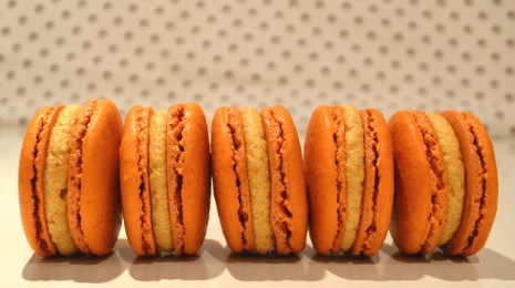 pumpkin pie macarons