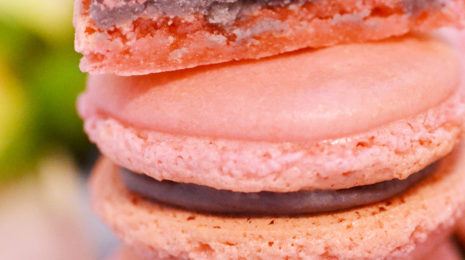 rosehip & hibiscus macarons